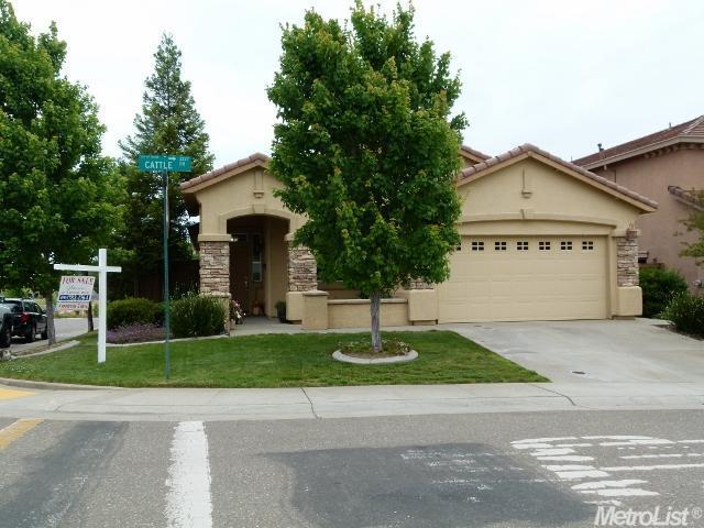 2228 Cattle Dr, Folsom, CA 95630 photo 1