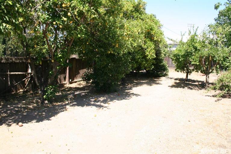 1409 Hillview Dr, Modesto, CA 95351 photo 21
