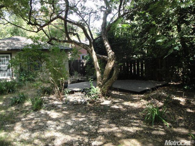 717 Oak Ave, Davis, CA 95616 photo 12