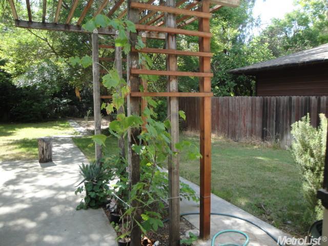 717 Oak Ave, Davis, CA 95616 photo 13
