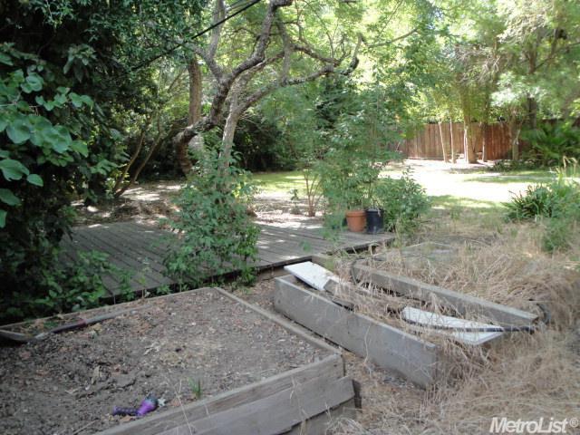 717 Oak Ave, Davis, CA 95616 photo 3