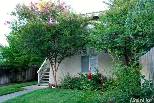 1534 Olympic Dr, Davis, CA 95616 photo 18