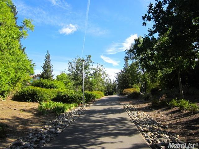 1534 Olympic Dr, Davis, CA 95616 photo 21