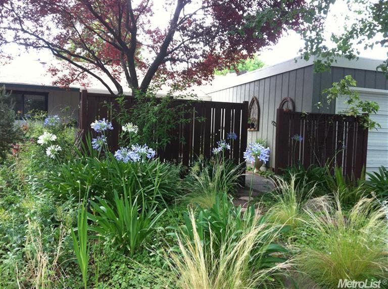 119 Huerta Pl, Davis, CA 95616 photo 3