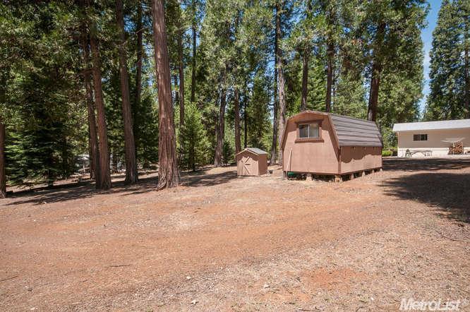 25500 Shake Ridge Rd, Volcano, CA 95689 photo 20