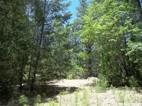 3216 Fort Jim Rd, Placerville, CA 95667 photo 6