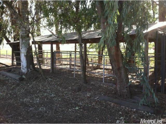 3600 State Hwy 152, Dos Palos, CA 93620 photo 10