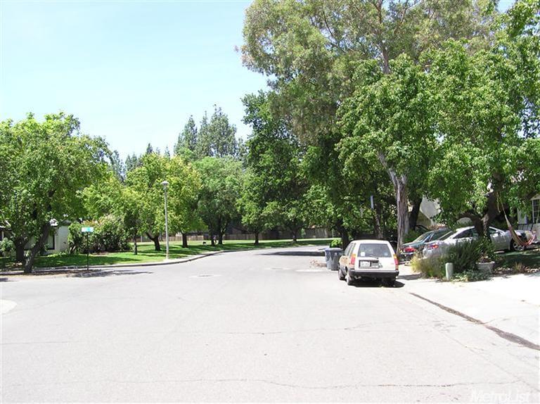 245 Aurora Ave, Davis, CA 95616 photo 15