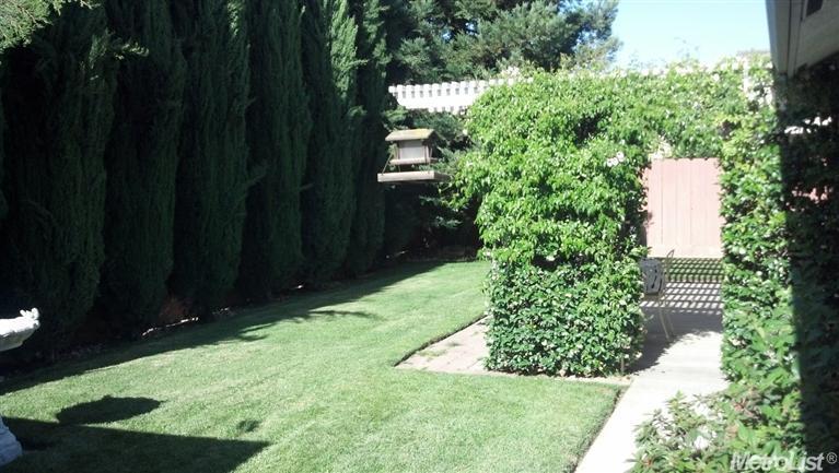 1673 Brookside Dr, Manteca, CA 95336 photo 8
