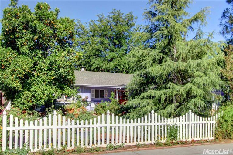 909 Sycamore Ln, Davis, CA 95616 photo 10