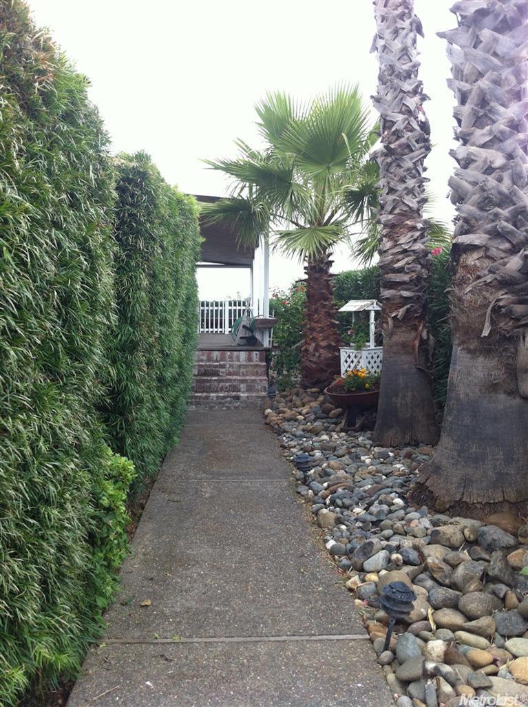 167 Oxbow Marina Dr, Isleton, CA 95641 photo 3