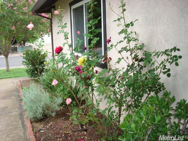 125 Perraud Dr, Folsom, CA 95630 photo 15