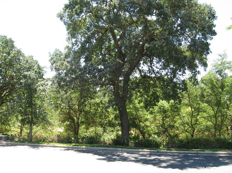 401 The Blf, Modesto, CA 95355 photo 15
