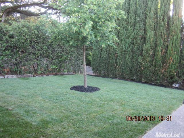 8270 Central Ave, Orangevale, CA 95662 photo 2
