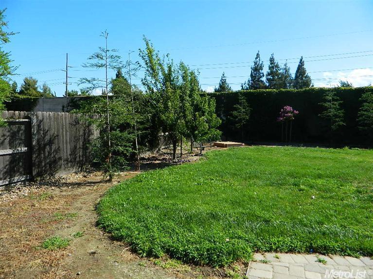 1038 Meadowbrook Dr, Manteca, CA 95336 photo 14