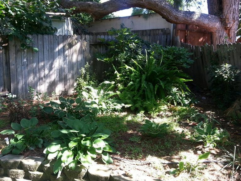 5524 Wilsey Way, Carmichael, CA 95608 photo 18