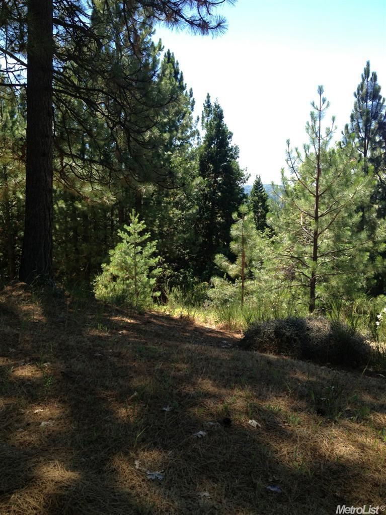 7140 Critter Ln, Georgetown, CA 95634 photo 20