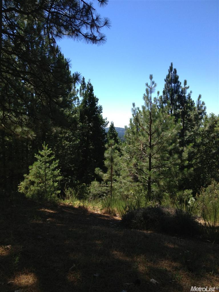 7140 Critter Ln, Georgetown, CA 95634 photo 17