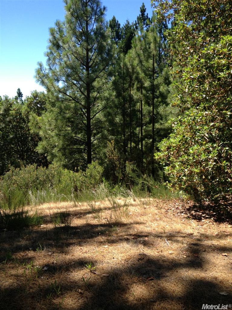 7140 Critter Ln, Georgetown, CA 95634 photo 18
