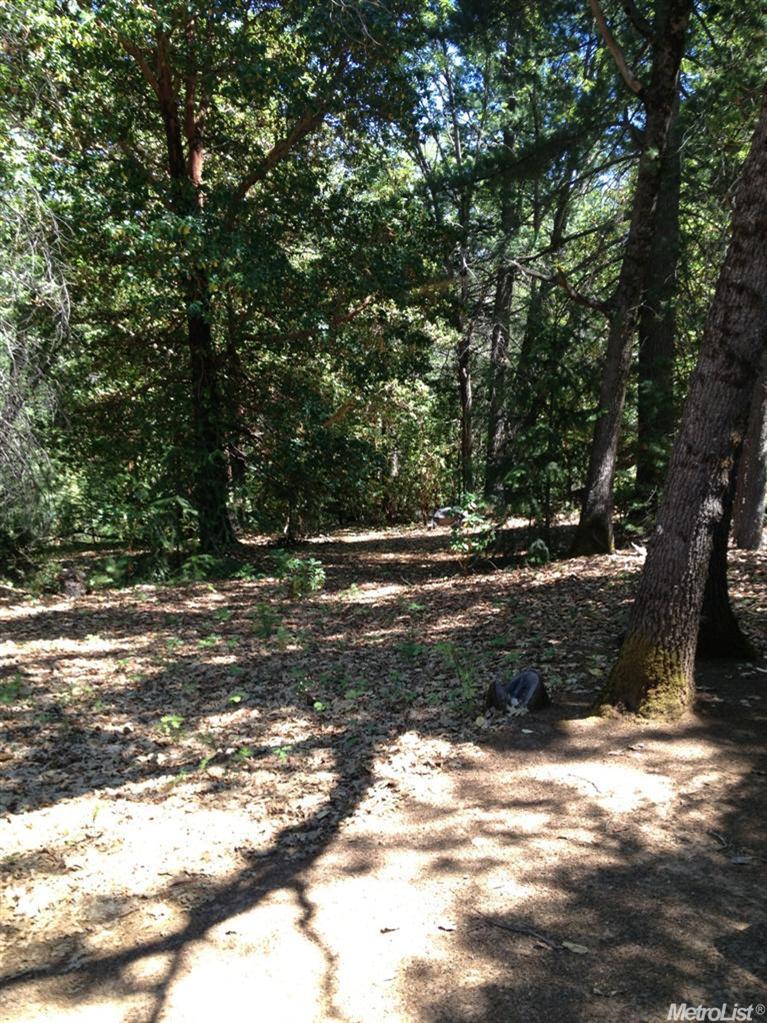 7140 Critter Ln, Georgetown, CA 95634 photo 21