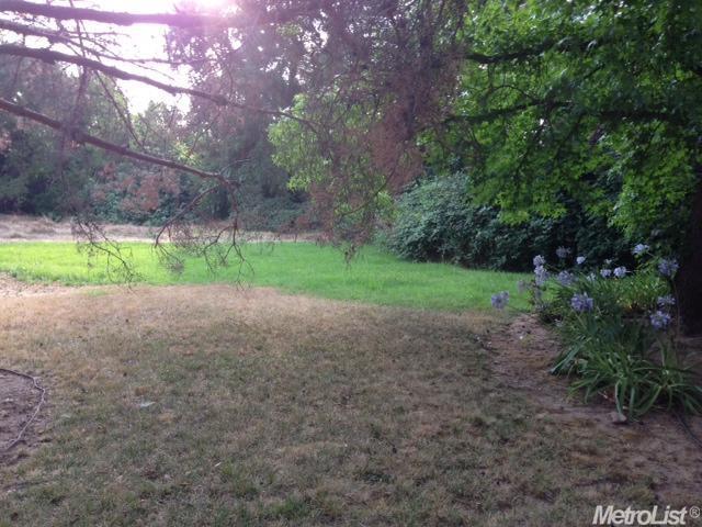 2433 Garfield Ave, Carmichael, CA 95608 photo 11