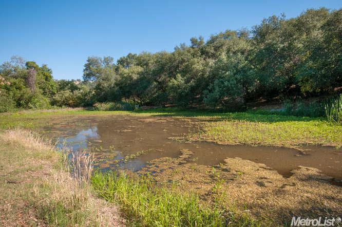 7301 Callison Rd, Penryn, CA 95663 photo 19