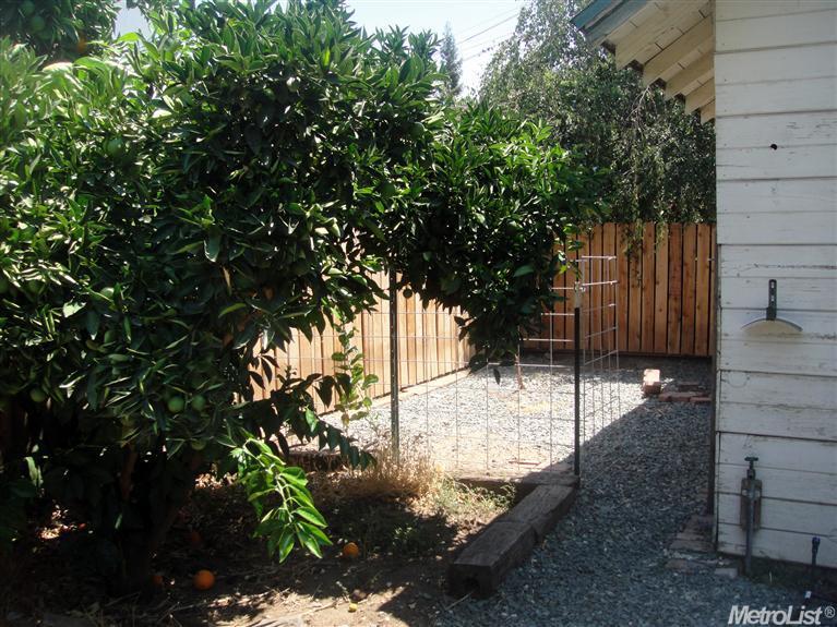 592 1st St, Escalon, CA 95320 photo 4