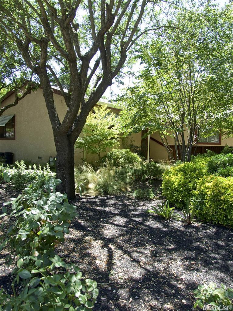 1724 Albion Pl, Davis, CA 95618 photo 11