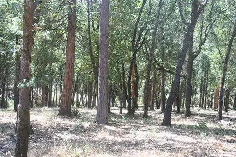 2120 Fruitridge Rd, Placerville, CA 95667 photo 17