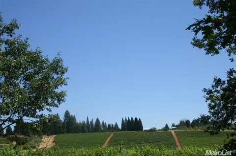 2120 Fruitridge Rd, Placerville, CA 95667 photo 5