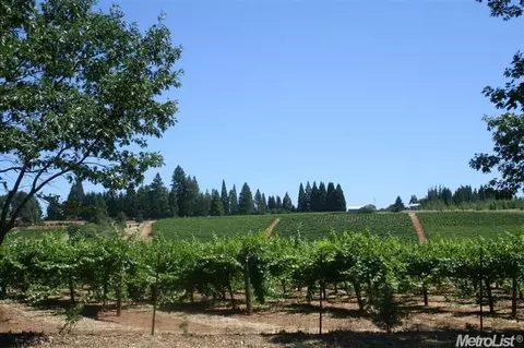 2120 Fruitridge Rd, Placerville, CA 95667 photo 3