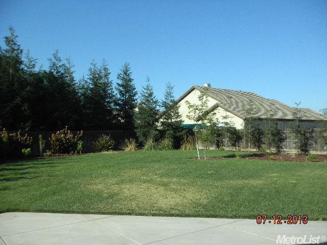 1623 Vasconcellos Way, Turlock, CA 95382 photo 6