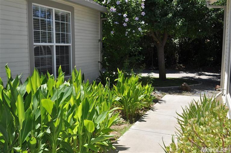 4564 El Macero Dr, Davis, CA 95618 photo 20