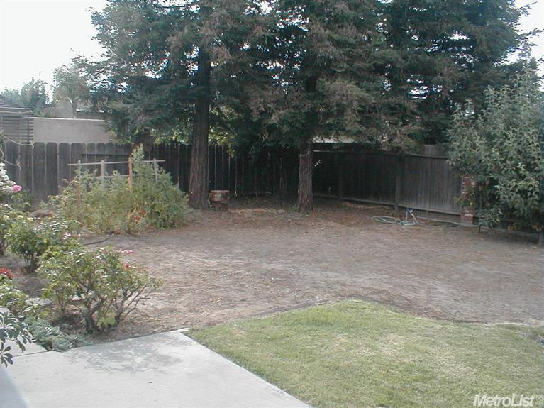 2645 E Hawkeye Ave, Turlock, CA 95380 photo 19
