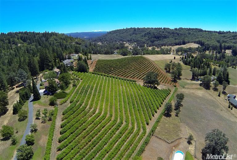 4831 Sigwart Dr, Placerville, CA 95667 photo 3
