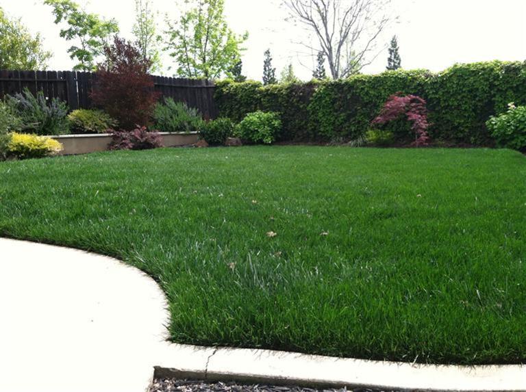 3131 Aaron Dr, Rocklin, CA 95765 photo 7