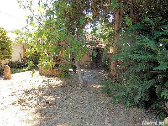 419 Sutter Ave, Modesto, CA 95351 photo 24