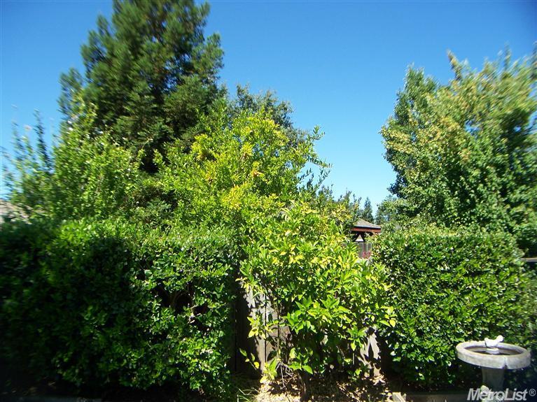 6330 Rampart Dr, Carmichael, CA 95608 photo 21