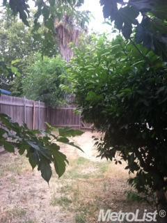 142 S Santa Ana Ave, Modesto, CA 95354 photo 6