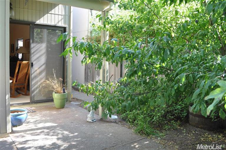 4366 Cowell Blvd, Davis, CA 95618 photo 16