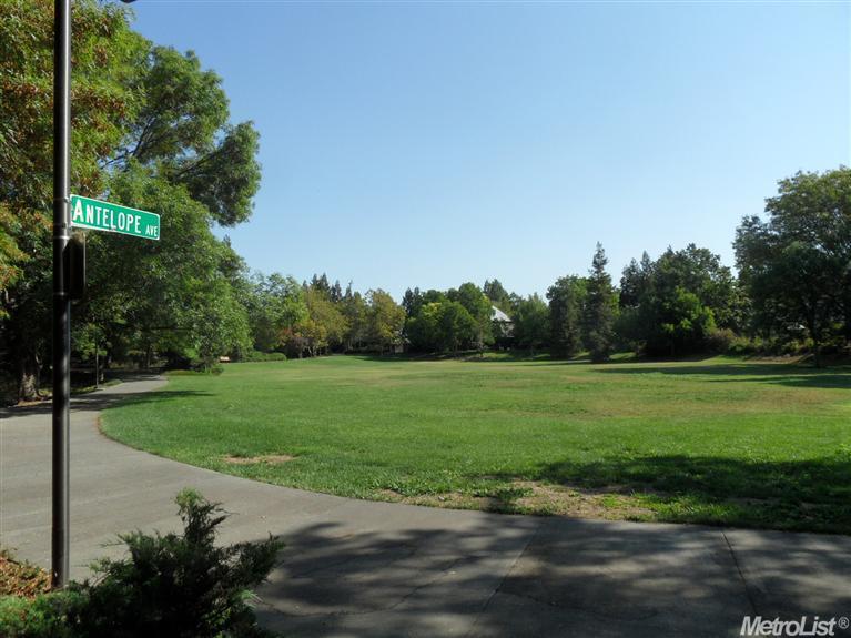 1279 Antelope Ave, Davis, CA 95616 photo 14