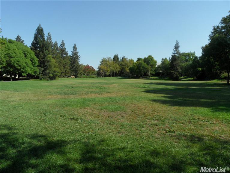 1279 Antelope Ave, Davis, CA 95616 photo 15