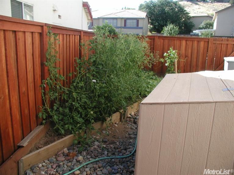 5353 Wesley Rd, Rocklin, CA 95765 photo 21