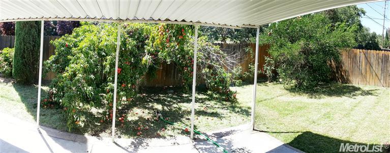 1125 Lorene Ave, Manteca, CA 95336 photo 11