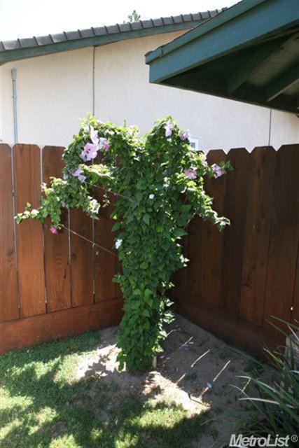 1428 Jackellen Ln, Modesto, CA 95356 photo 17