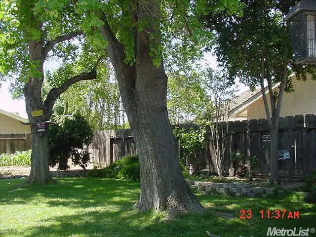 1155 Grove, Gustine, CA 95322 photo 16