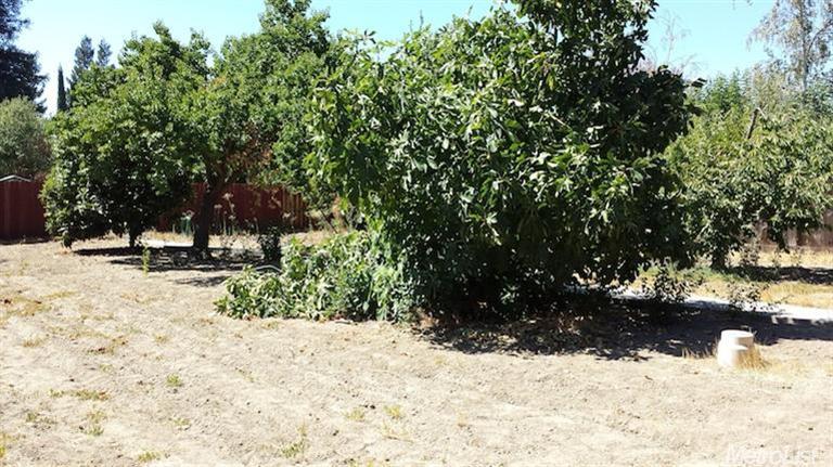 1113 E Rumble Rd, Modesto, CA 95350 photo 5