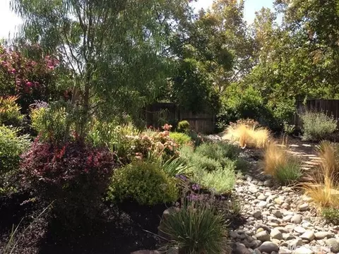 2502 Dali Pl, Davis, CA 95618 photo 19