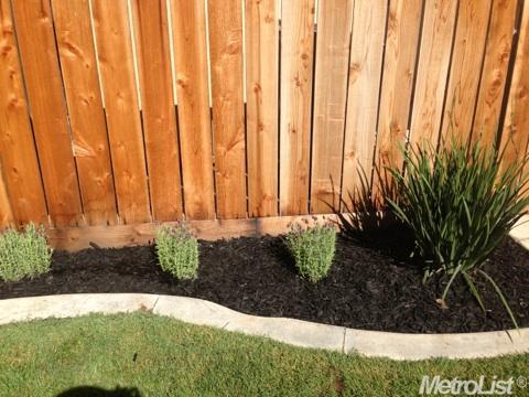 762 Tornell Cir, Ripon, CA 95366 photo 20