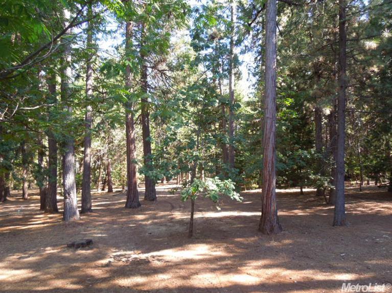 23756 Shake Rdg, Volcano, CA 95689 photo 19